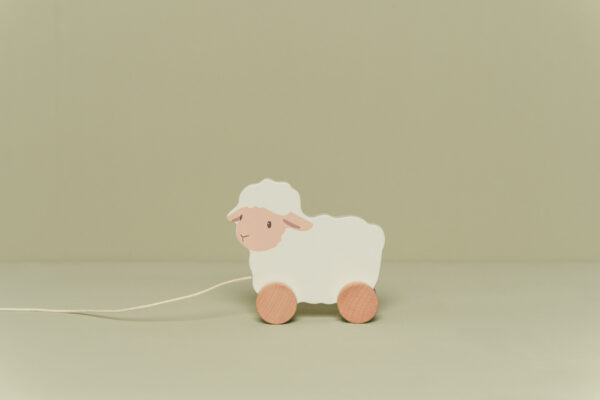 Pecora trainabile Little Farm FSC